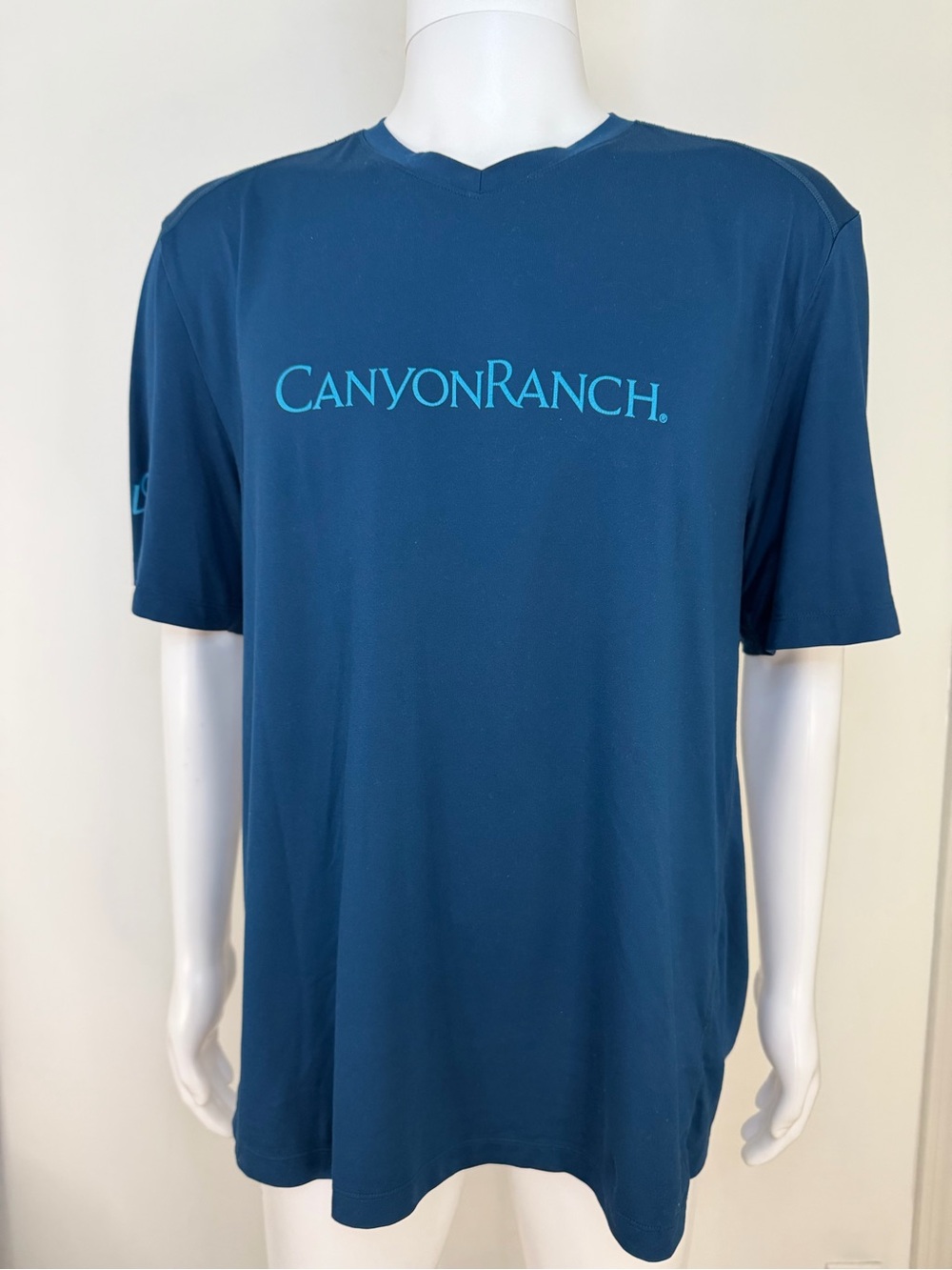 Canyon Ranch Men's Teal Logo Short-Sleeve Tee